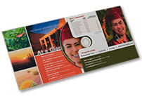 CDs in 4-panel and 6-panel full-color "Green Wallets"
