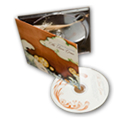 Digipak: 4, 6, or 8 panels